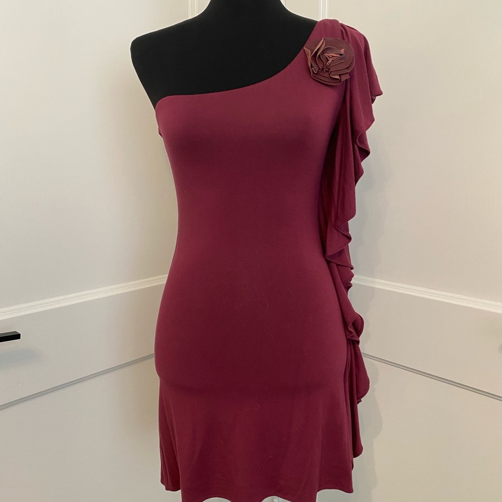 NWT, Sky mini dress, size XS